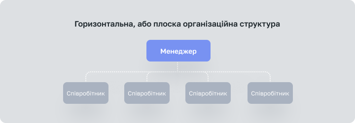 3. Горизонтальная, или плоская организационная структура