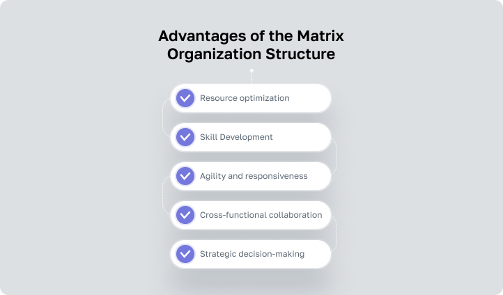 Matrix Organizational Structure: Definition & Examples